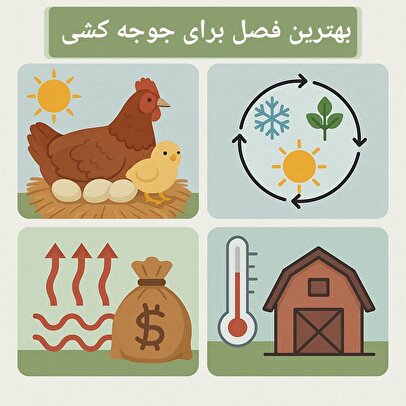 بهترین فصل برای جوجه کشی 1 d8a8d987d8aad8b1db8cd986 d981d8b5d984 d8a8d8b1d8a7db8c d8acd988d8acd987 daa9d8b4db8c 6806880076a98
