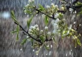 فعالیت سامانه بارشی بهاره در اواخر روز سه شنبه 1 d981d8b9d8a7d984db8cd8aa d8b3d8a7d985d8a7d986d987 d8a8d8a7d8b1d8b4db8c d8a8d987d8a7d8b1d987 d8afd8b1 d8a7d988d8a7d8aed8b1 d8b1d988d8b2 6807113f28ccc