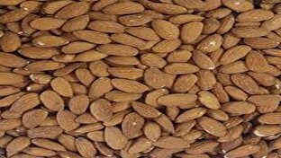 مغز بادام پادشاه مغزدانههای دنیا + فیلم 1 d985d8bad8b2 d8a8d8a7d8afd8a7d985 d9bed8a7d8afd8b4d8a7d987 d985d8bad8b2d8afd8a7d986d987d987d8a7db8c d8afd986db8cd8a7 d981db8c 680c8c1632e2b