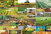 نبود آمار دقیق در بخش کشاورزی چالش اصلی پیش روی تولید 1 d986d8a8d988d8af d8a2d985d8a7d8b1 d8afd982db8cd982 d8afd8b1 d8a8d8aed8b4 daa9d8b4d8a7d988d8b1d8b2db8c da86d8a7d984d8b4 d8a7d8b5d984db8c 681086be8295c
