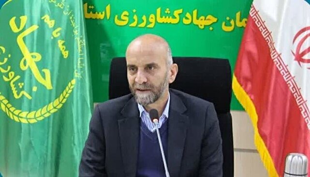 هدررفت ۳۰ درصدی گندم در کشور؛ چالشی بزرگ برای امنیت غذایی 1 d987d8afd8b1d8b1d981d8aa dbb3dbb0 d8afd8b1d8b5d8afdb8c daafd986d8afd985 d8afd8b1 daa9d8b4d988d8b1d89b da86d8a7d984d8b4db8c d8a8d8b2d8b1 68052308c93c5