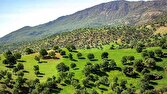 ورود سازمان ملل به موضوع احیا و حفاظت از جنگلهای زاگرس 1 d988d8b1d988d8af d8b3d8a7d8b2d985d8a7d986 d985d984d984 d8a8d987 d985d988d8b6d988d8b9 d8a7d8addb8cd8a7 d988 d8add981d8a7d8b8d8aa d8a7d8b2 680f4c6ecaa38