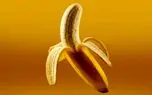 daafd985d8b1daa9 d986d987 d985d988d8b2 d985db8cd981d8b1d988d8b4d8afd88c d986d987 d985d8acd988d8b2 daafd8b1d8a7d986db8c d985d988 68092cb9ebc2f