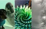تصاویری که ثابت میکنند هنر میتواند شما را به خنده بیندازد! 1 d8aad8b5d8a7d988db8cd8b1db8c daa9d987 d8abd8a7d8a8d8aa d985db8cdaa9d986d986d8af d987d986d8b1 d985db8cd8aad988d8a7d986d8af 6820ff9a3de7f
