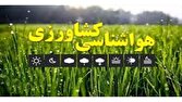 ضرورت جمع آوری سرشاخه و میوههای آلوده از باغات 1 d8b6d8b1d988d8b1d8aa d8acd985d8b9 d8a2d988d8b1db8c d8b3d8b1d8b4d8a7d8aed987 d988 d985db8cd988d987d987d8a7db8c d8a2d984d988d8af 6812f4d61b910