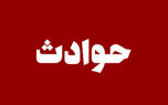 d982d8aad984 d8b2d986 d985db8cd8a7d986d8b3d8a7d984 d8a8d987 d8aed8a7d8b7d8b1 d8b4d8b3d8aad986 d981d8b1d8b4 d8afd8b1 daa9d988da86d987 68185e1475387