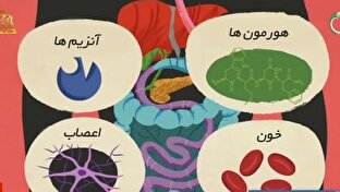 d986daa9d8a7d8aadb8c d8afd8b1d8a8d8a7d8b1d987 d8afd8b3d8aadaafd8a7d987 daafd988d8a7d8b1d8b4 d981db8cd984d985 681a0f30b369a